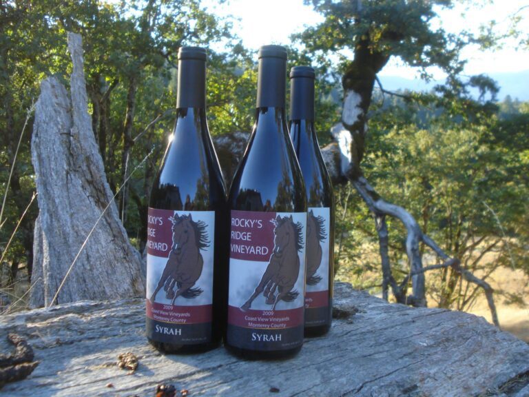 1274128 10151871153439564 1595151640 o 768x576