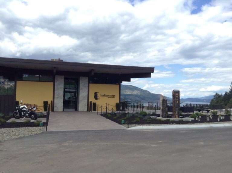 13320768 1027664900680852 3122250390399430748 o 768x574