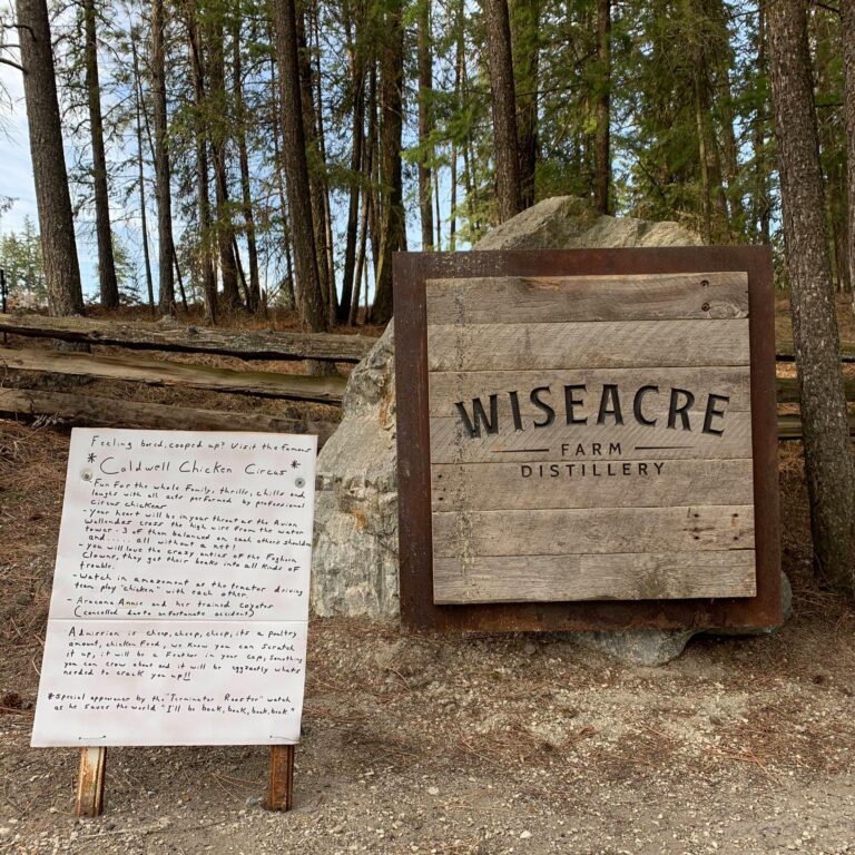 167960104 506806087356886 274666099212696110 n 768x768