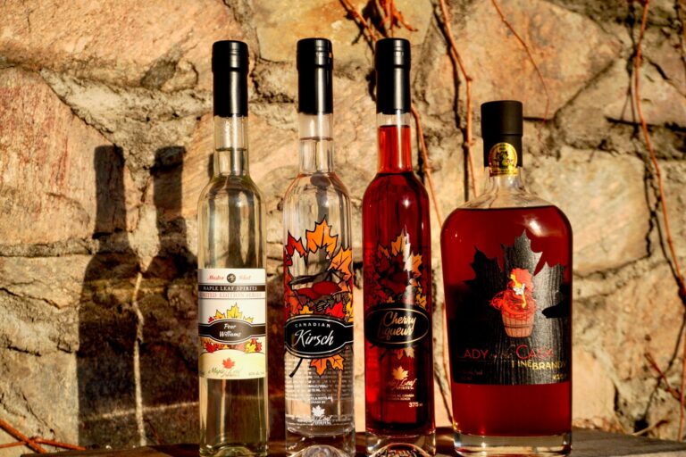 236633157 4177912615625840 2708423699263362520 n 768x512