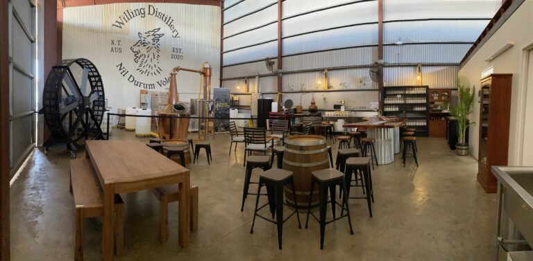 240539248 249678197171863 7105325882252678518 n 768x377