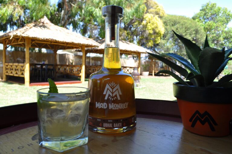 247147191 637462364304544 747748054386257207 n 768x510