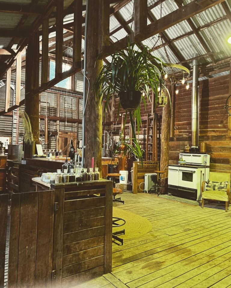 275249754 942544259777109 4344233488536299419 n 768x960