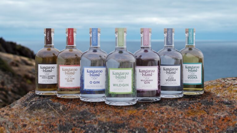 276128608 10159842162069019 7318029778254055032 n 768x432