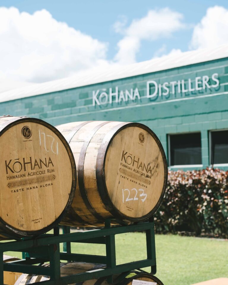 277794422 2172293736269527 7223040159501479746 n 768x960