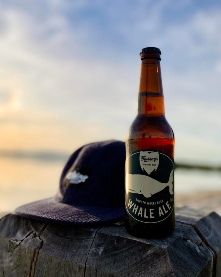 279580536 10158965504839499 8106509433749732022 n 768x961