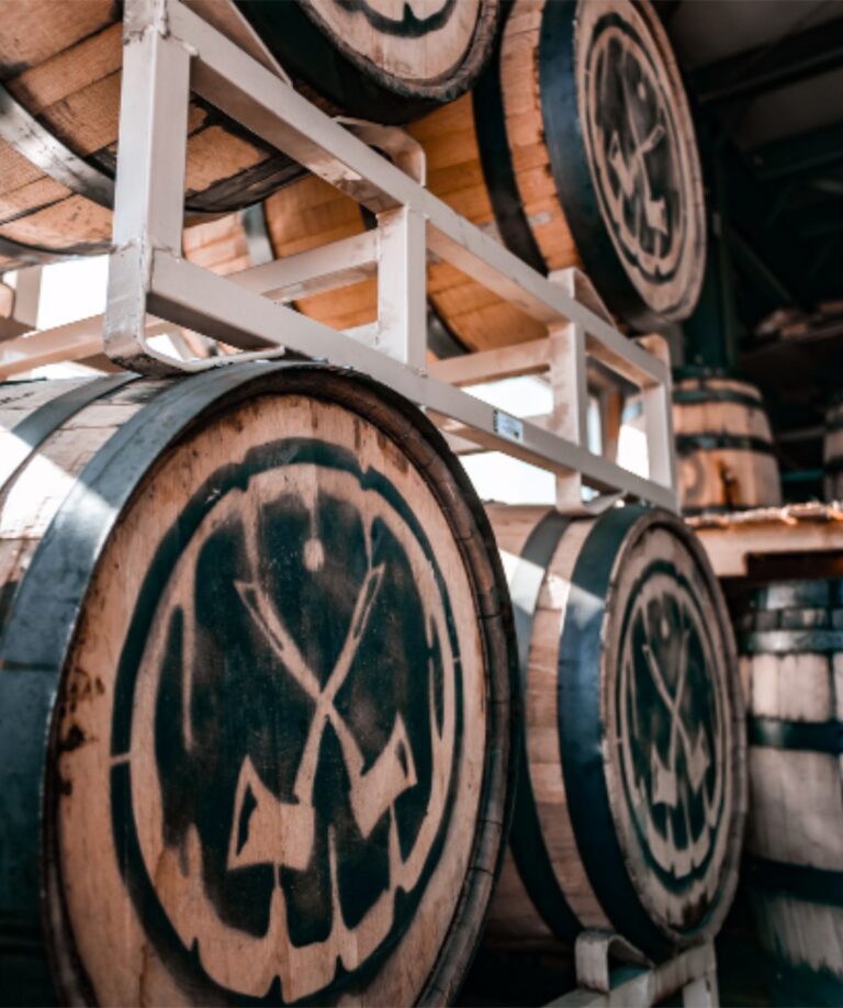 283514407 1874175726126167 5249301579978098400 n 768x918