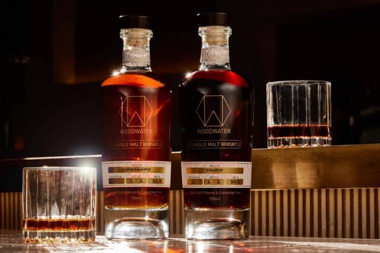 293462637 446394554163130 5055587839948856653 n 768x512