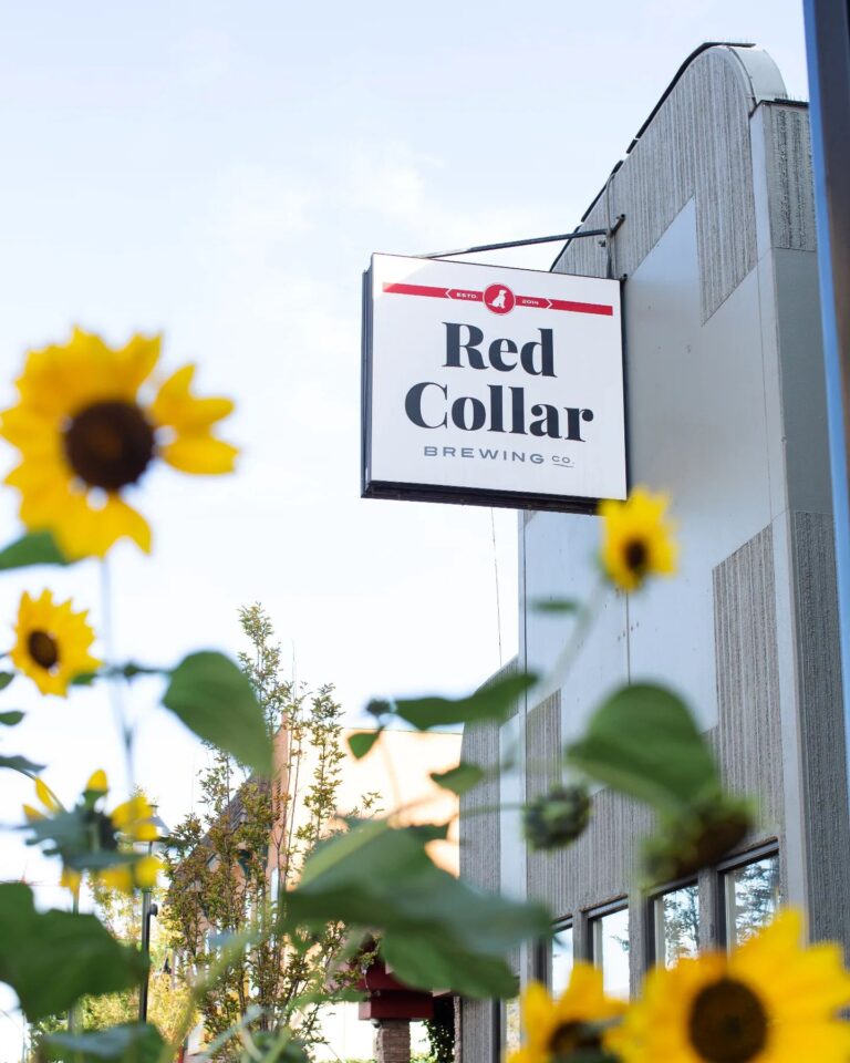 296653605 466971585435860 4892840336212422321 n 768x960