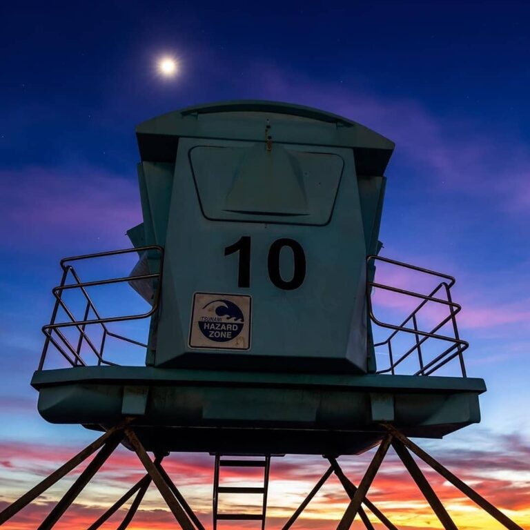 304398594 488141683319041 7627202031354751811 n 768x768