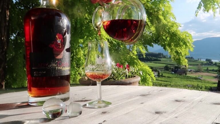 304985346 490098969788137 5547650016411859582 n 768x433