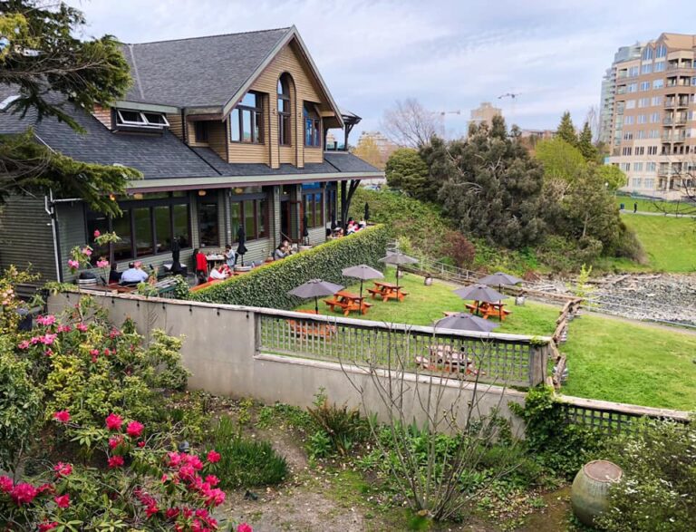 305034902 582895016553281 1691724461671784493 n 768x587