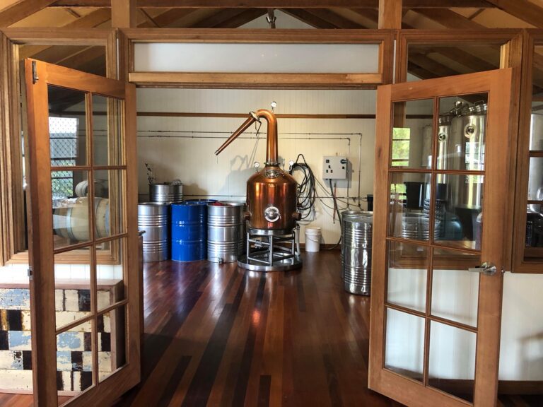 305164286 490460676418360 9033386598915000971 n 768x576