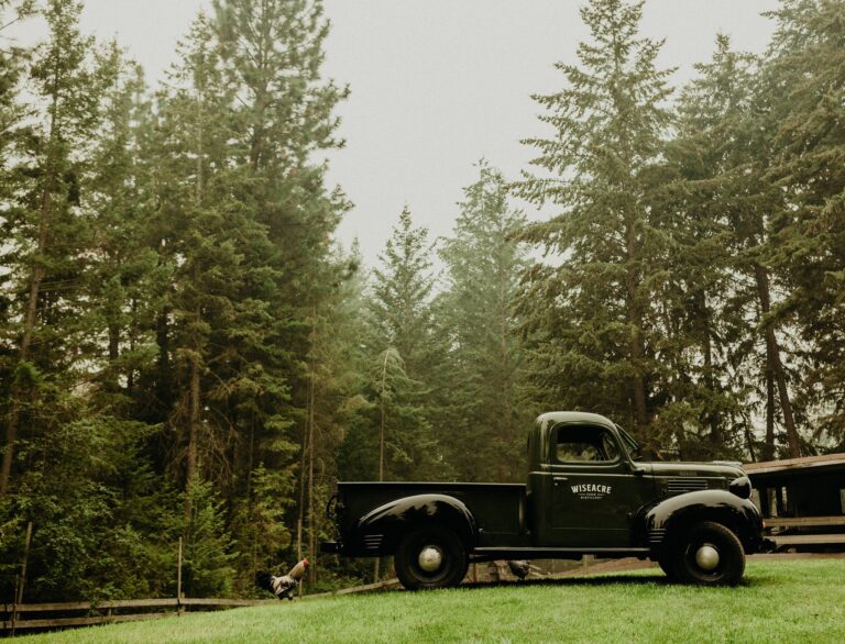 305220621 560175049242097 3912433888504904954 n 768x586