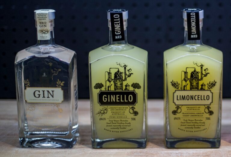 305408395 532009435593533 2876585913997892676 n 768x522