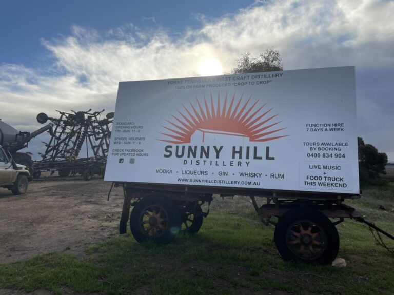 307658603 500211882115189 4743363218443179611 n 768x575