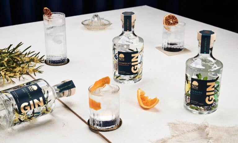 309347857 6084417751572807 8362242849764950810 n 768x461