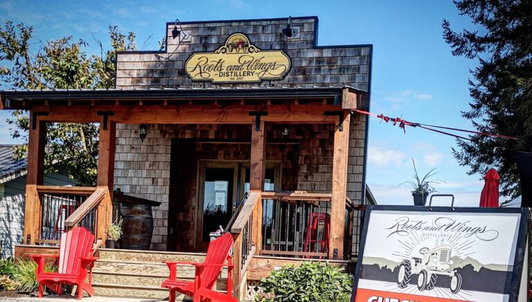 309627070 471397055021258 5378005102721162439 n 768x436