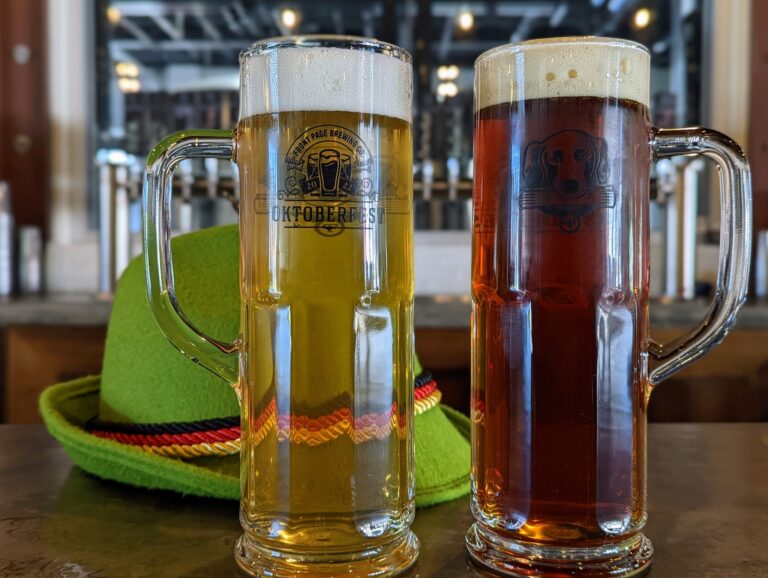 311329426 546396120820175 5481088816736459787 n 768x578