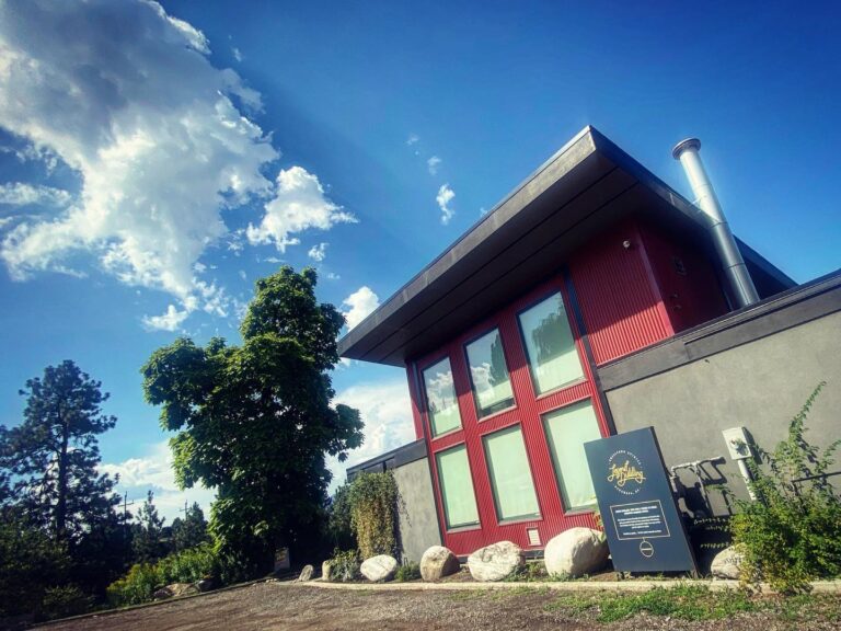 314323285 564545929010921 8580390090416587395 n 768x576