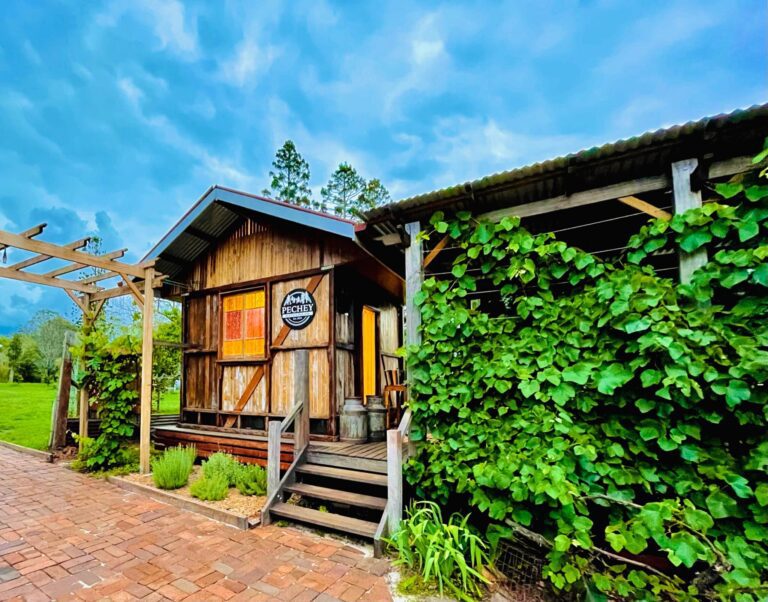 314729262 822229839194309 1708738687377852046 n 1 768x602