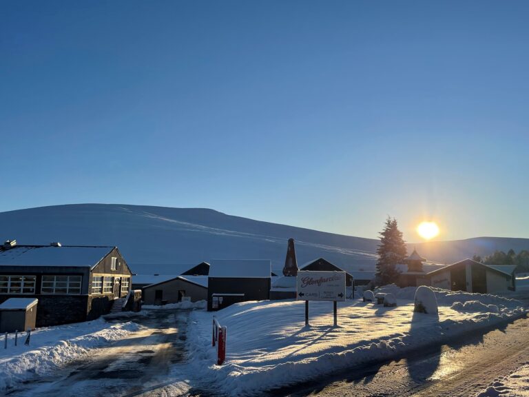 318505194 10162604677769358 8902333384644365934 n 768x576