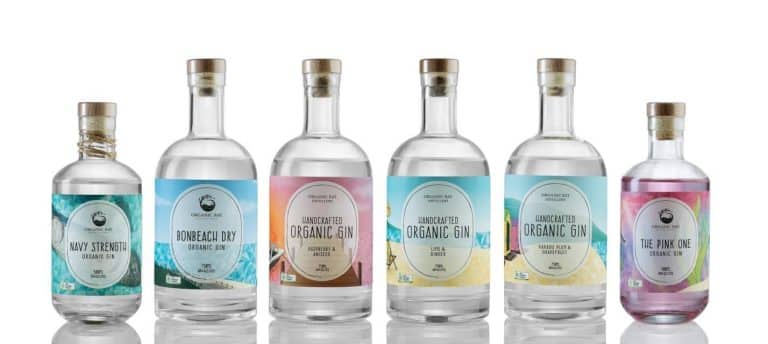 318505639 473582348238121 6254767564048662839 n 768x344