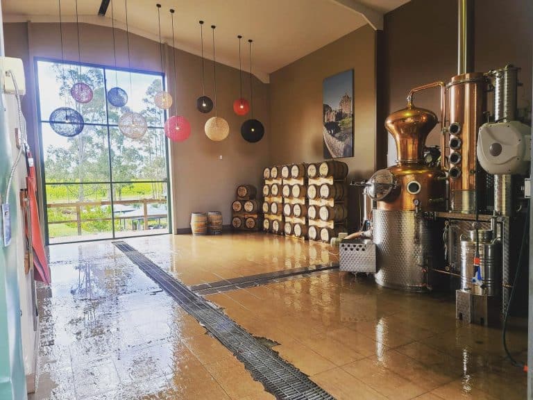 326794706 6111182282238247 5469302768147439373 n 1 768x576