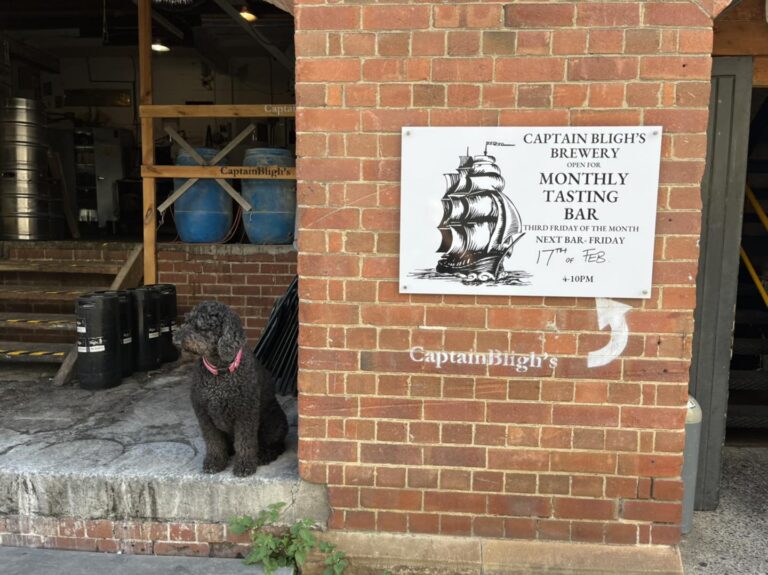 329324037 3424280614528012 1491265062278356558 n 768x575