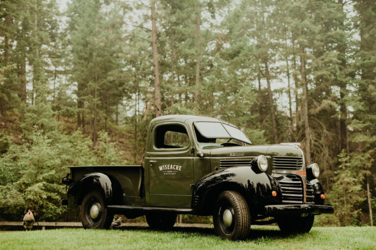 335326089 611211867009329 7198008625709258471 n 768x512