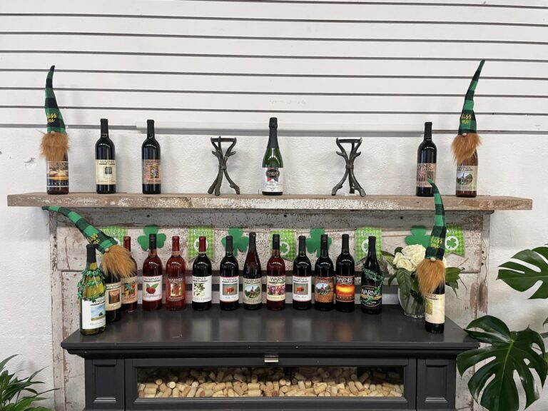 336719595 949931516188299 8798753484851475210 n 768x576