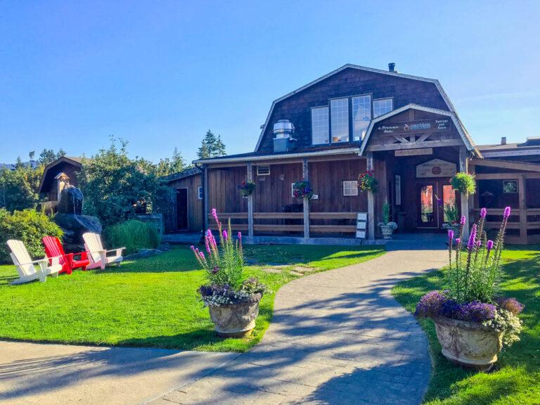 49192822 10158047115064622 5273935349444247552 n 768x576