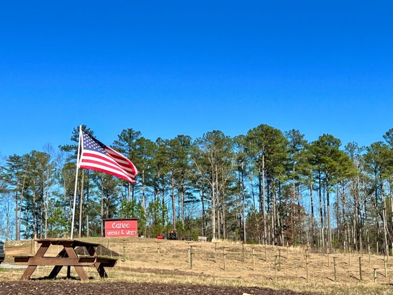 WhatsApp Bild 2023 03 05 um 01.46.06 3 768x576