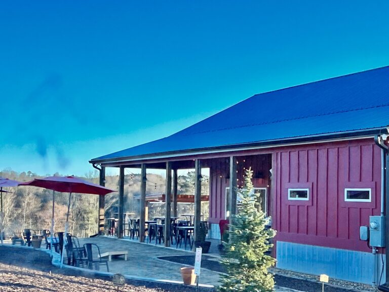 WhatsApp Bild 2023 03 05 um 01.46.08 768x576