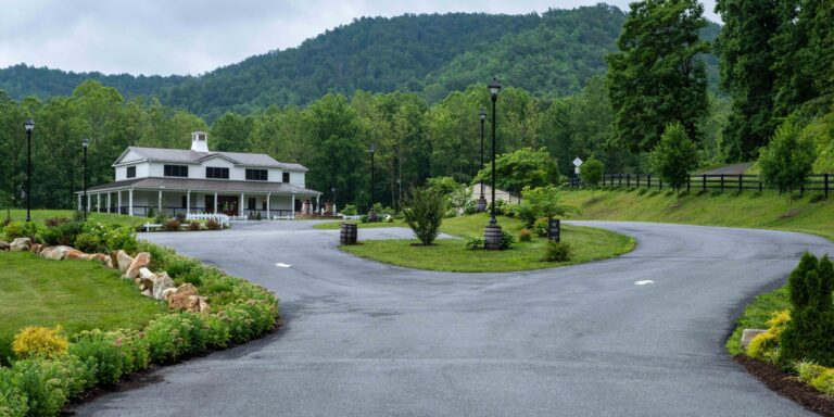 104777305 10158878050806393 1830332425752153353 n 768x384