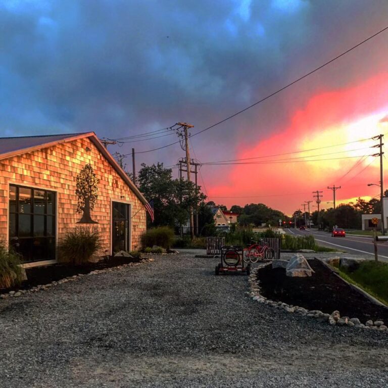 19961134 1428500713865779 2233214325187399674 n 768x768