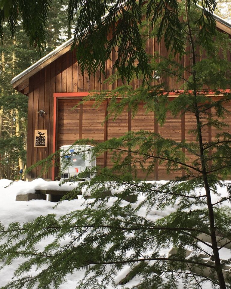 270970416 1892316080963957 6279499503807052900 n 768x960