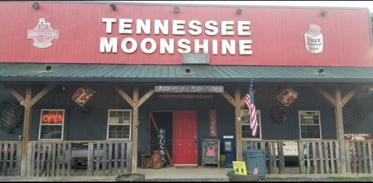 271982904 3086271131690341 7192197859509411822 n 768x378