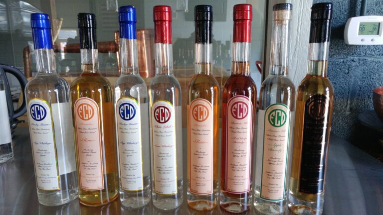 27747960 1917340914942784 6437742064384672938 o 768x432