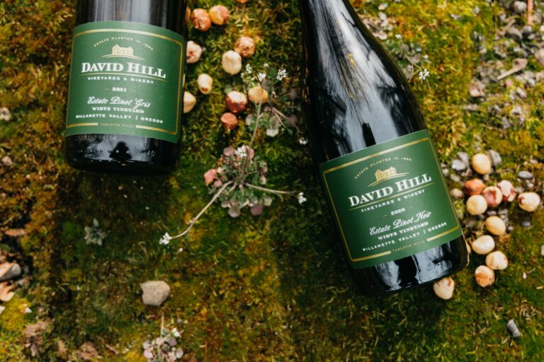 277515649 456763846173259 4958088262614609664 n 768x512