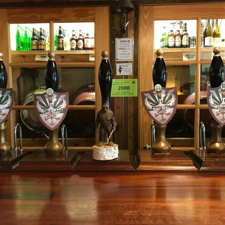 279766782 418779916916311 4446063463859854995 n 768x768