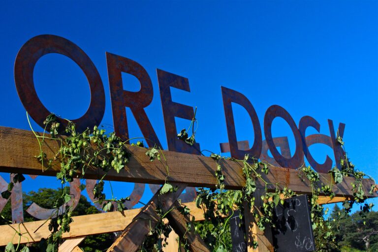 326681312 3089384387966834 5817482703342856298 n 768x512