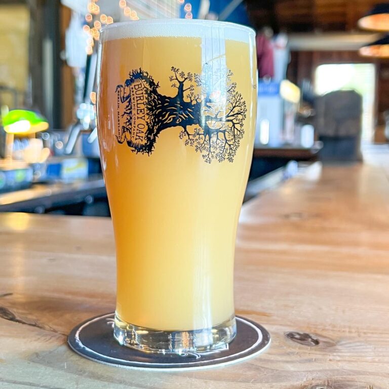 327150421 1125113934847935 5170254606450365029 n 768x768