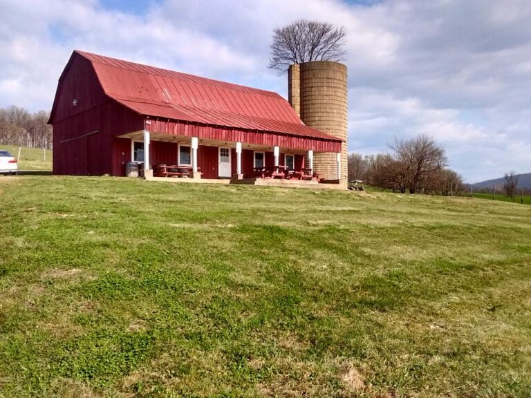 33692678 231604200939998 7848588550554517504 n 768x576