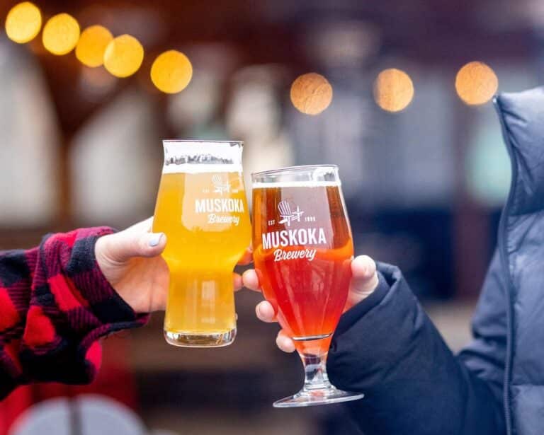 339020671 947340406452068 1606371270611894542 n 768x615