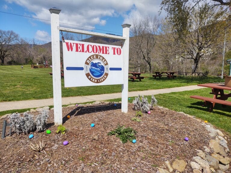 339266577 965058501591987 1449326325398507318 n 768x576