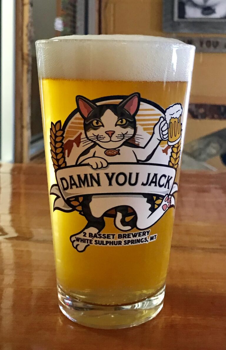 339283087 3409702332631131 2015830388645821213 n 768x1186