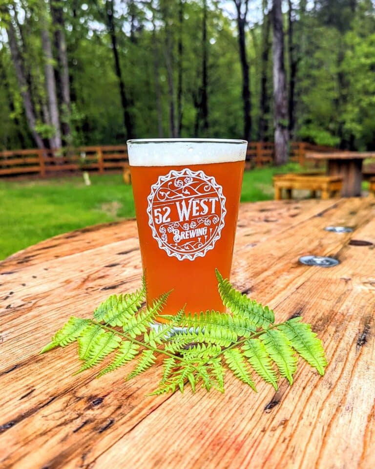 343440762 3502269726716336 5099516361147968690 n 768x960