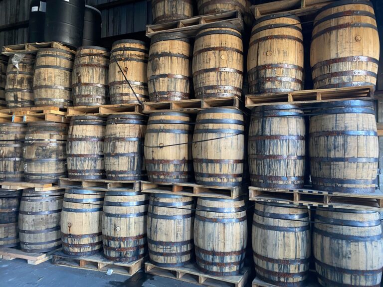 89666964 135899547948768 7084655185905057792 n 768x576