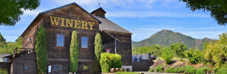 VWN 5096f 002 1366x450 1 768x253